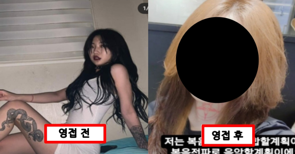 베란다를 통창으로 바꾸면 생기는 일 재밌는 이야기 