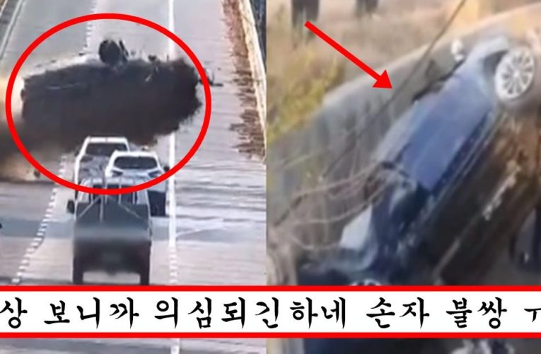 손자 태우고 가던 할머니 급발진 사고로 손자가 죽었는데 경찰이 할머니 살인미수로 조사하고 있는 이유