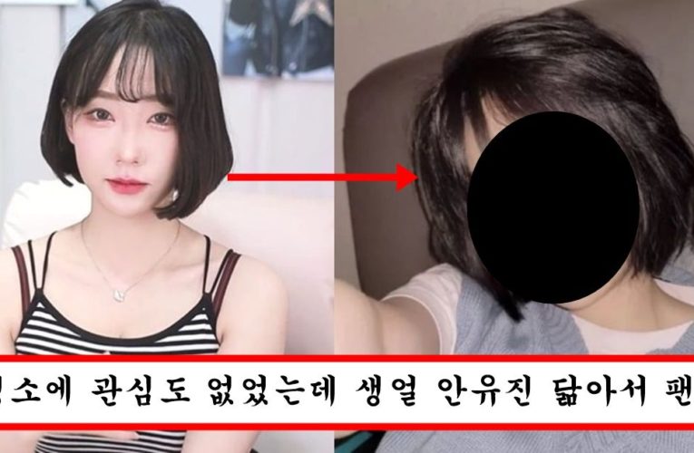 방송 꺼진 줄 모르고 화장 지워서 쌩얼 걸렸는데 오히려 예쁘다고 인기 떡상한 스트리머