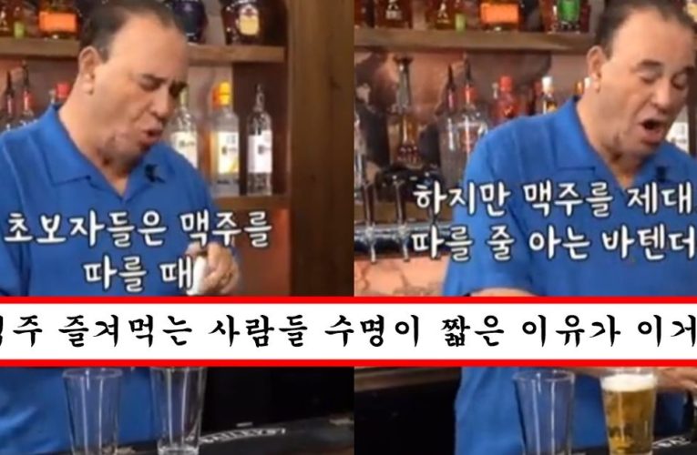 “거품 나온다고 맥주 천천히 따르다간 죽을 수도 있습니다” 맥주 장인이 알려주는 제대로 맥주 따르는법