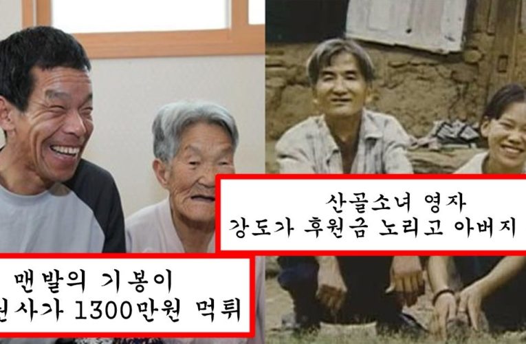 대한민국에서 일반인이 갑자기 스타로 올라서면 당하는 일들