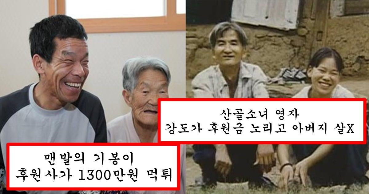 대한민국에서 일반인이 갑자기 스타로 올라서면 당하는 일들