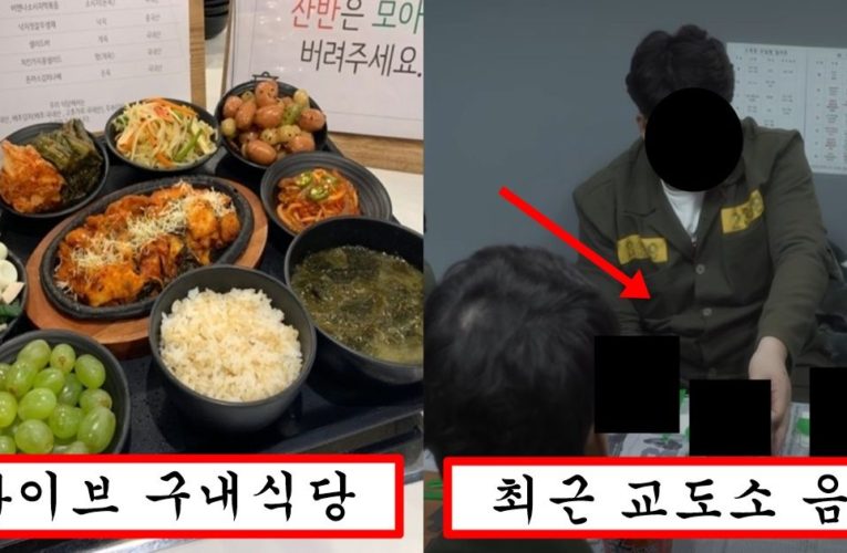 군대보다는 말할 것도 없고 아이돌 소속사 구내식당보다 반찬 잘 나온다는 k-교도소 식사 메뉴 수준