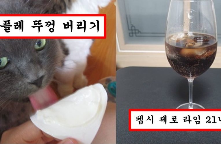 서민들은 절대 모르는 대한민국 상위 1% 사람들이 집에 가서 한다는 초호화 생활