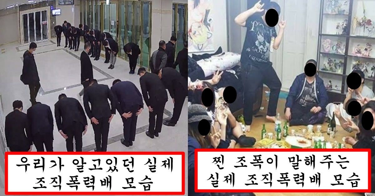 진짜 조폭이 말해주는 영화에서 보는것과 180도 다른 실제 조폭들의 모습