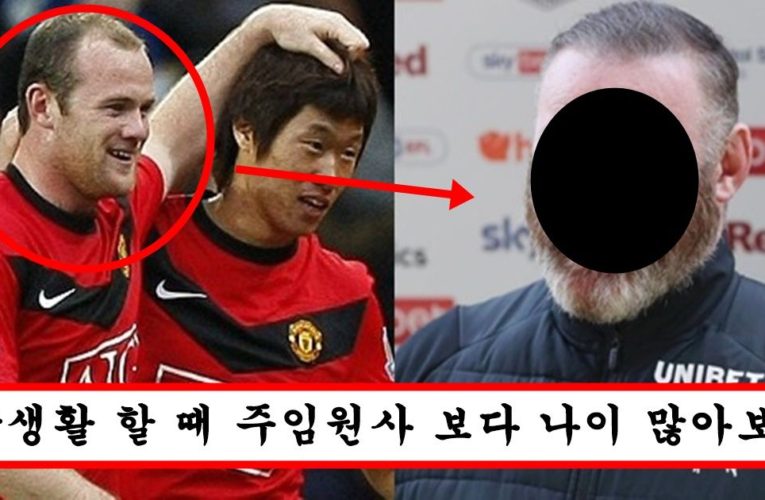 선수생활 끝나고 운동안했는지 얼굴,몸이 맥그리거가 되어버린 루니 충격 근황