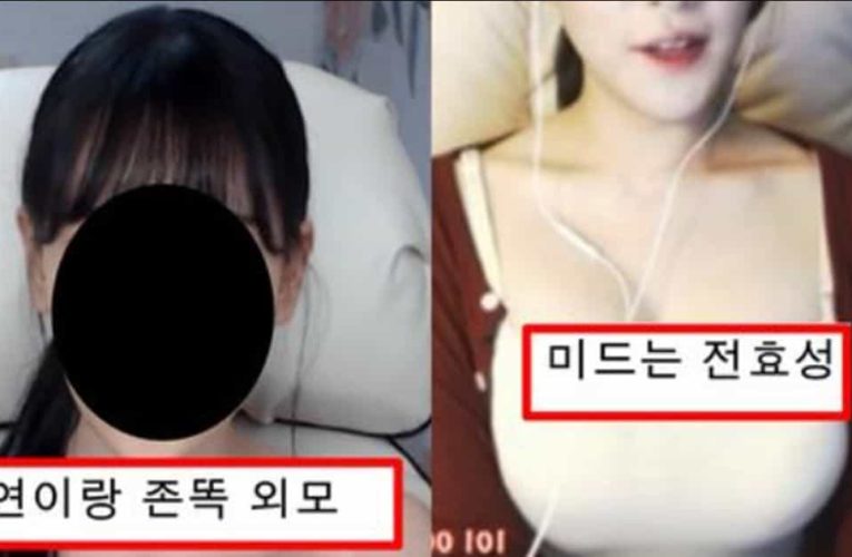 얼굴은 태연이랑 너무 똑같이 생겼는데 미드는 최소 d라서 개떡상 중인 아프리카 여bj