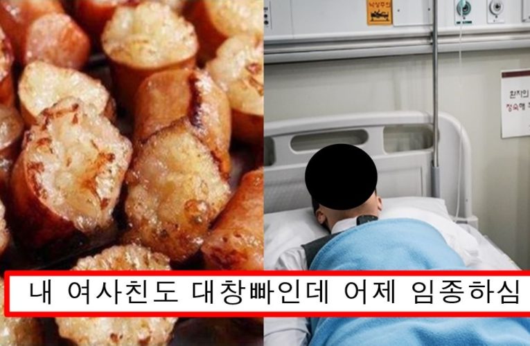 “곱창,대창 절대 먹지마세요” 어제 처음으로 서울대에서 밝혀낸 충격적인 연구결과