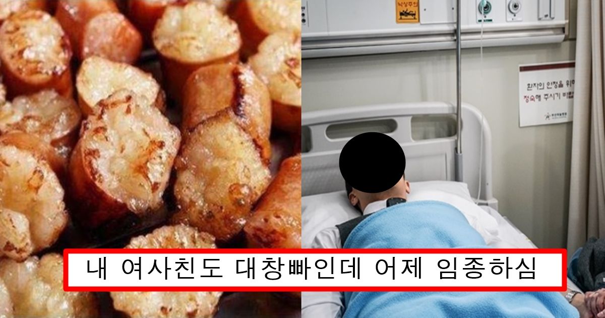 “곱창,대창 절대 먹지마세요” 어제 처음으로 서울대에서 밝혀낸 충격적인 연구결과