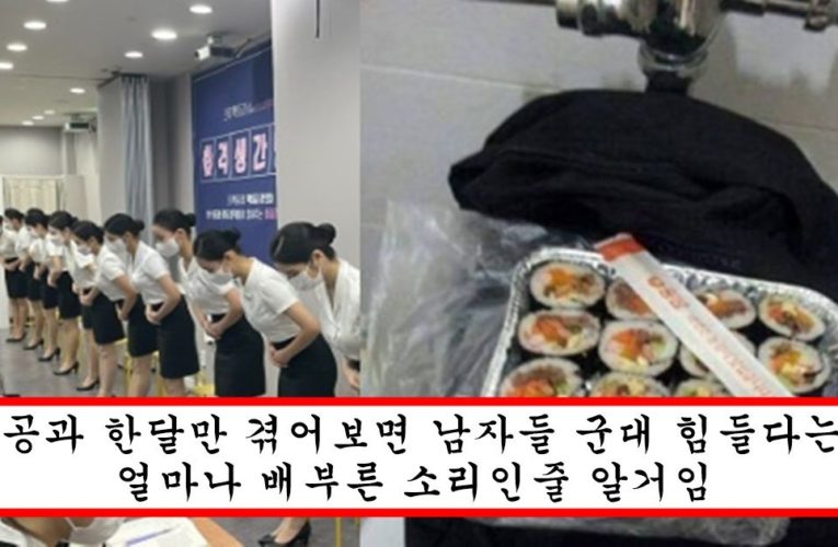 남자들은 절대 모른다는 인성 최악에 1달 버티기도 빡세다는 항공과 수준