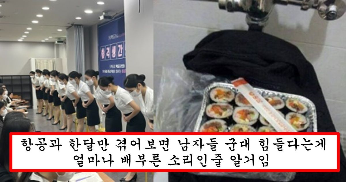 남자들은 절대 모른다는 인성 최악에 1달 버티기도 빡세다는 항공과 수준