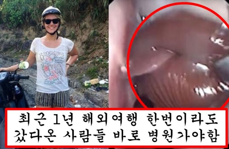 현재 코로나 풀렸다고 베트남 여행을 함부러 갔던 여성의 최후