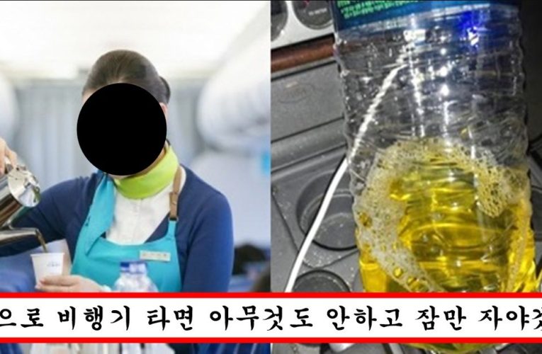 비행기에서 물 한 번이라도 마신 사람은 바로 병원가서 검사 받아야 하는 이유