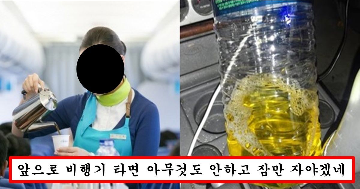 비행기에서 물 한 번이라도 마신 사람은 바로 병원가서 검사 받아야 하는 이유