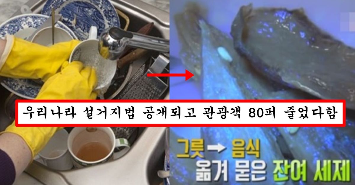 알고보니 설거지 방법 잘못돼서 이렇게 가다간 나중에 다 병 걸리게 생겼다는 한국식 설거지 방법