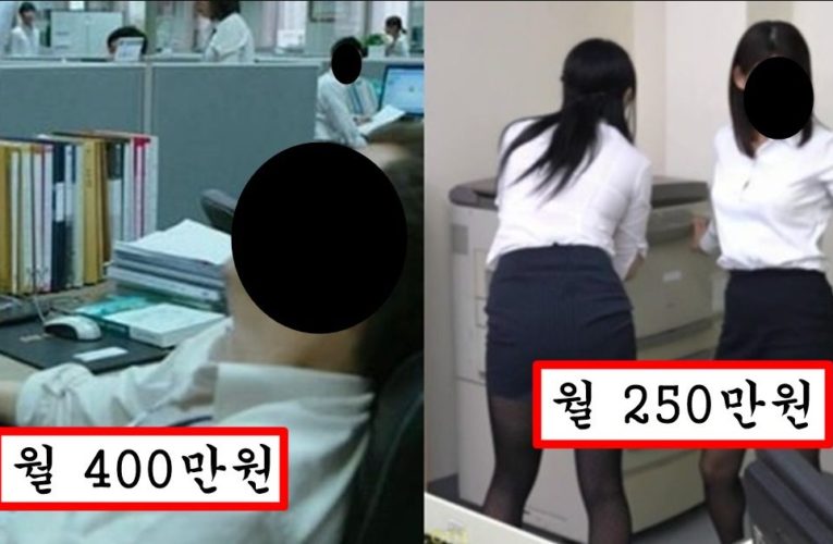 우리나라 회사에서 남녀가 똑같이 일해도 남자가 월급 최소 2배 받을 수 밖에 없는 이유