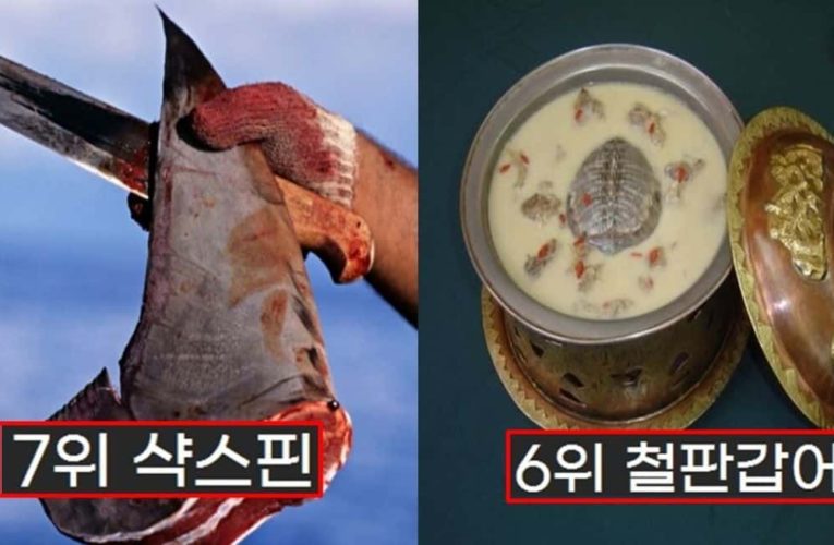 세상에서 가장 잔인한 요리 top7