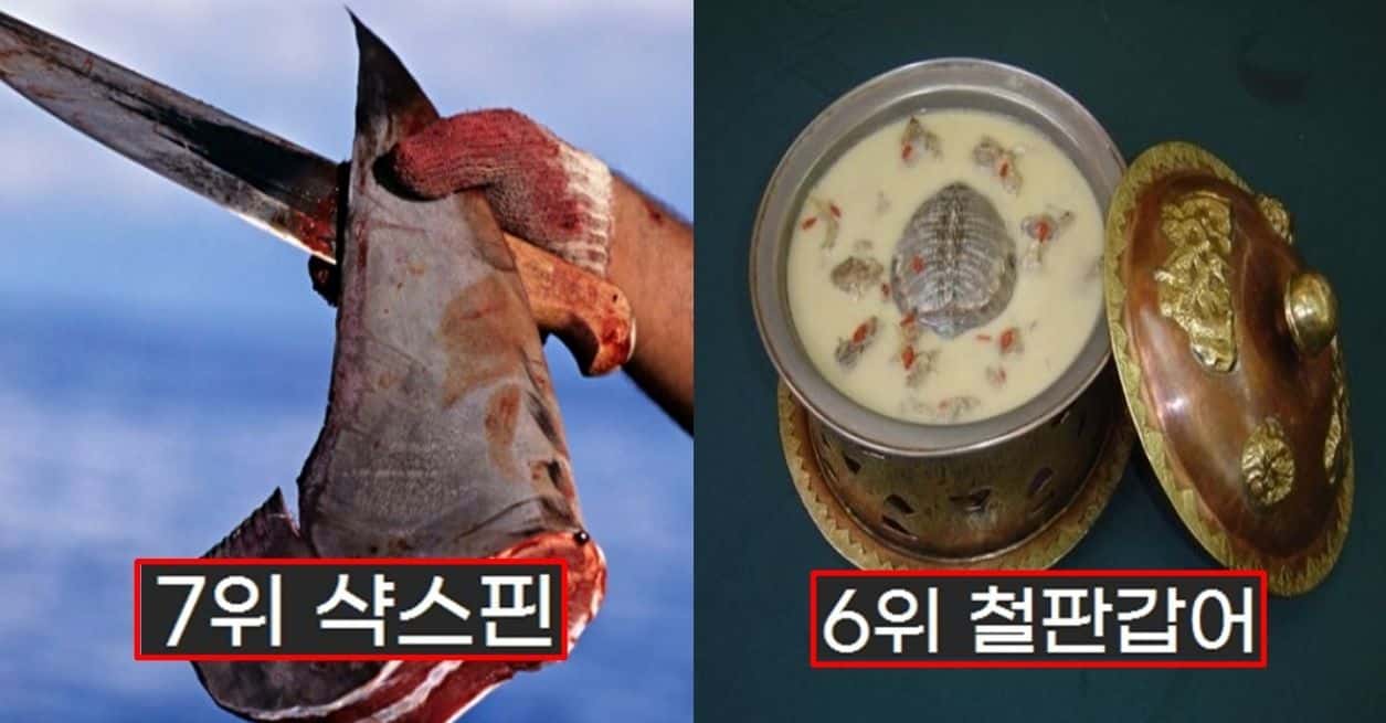 세상에서 가장 잔인한 요리 top7