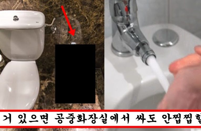 한국에도 빨리 도입해야 한다고 난리 난 엄청나게 위생적이고 효율적이라는 해외의 비데