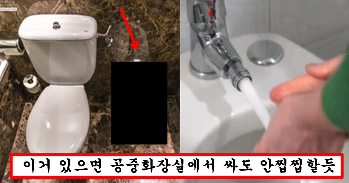 한국에도 빨리 도입해야 한다고 난리 난 엄청나게 위생적이고 효율적이라는 해외의 비데