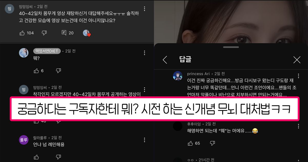 먹었서연 다이어트 영상 몸무게 재탕하고 선넘는 대처 논란