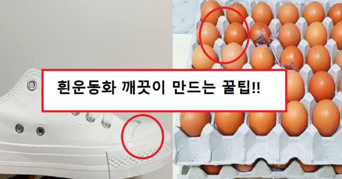 흰운동화 새운동화처럼 깨끗이 만드는 꿀팁!