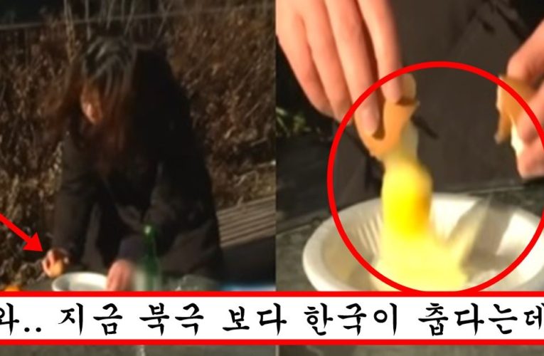 현재 전세계에서 말도 안된다고 주목중인 한국 강추위의 위엄