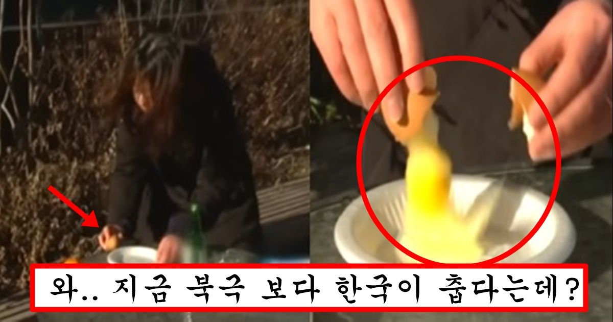현재 전세계에서 말도 안된다고 주목중인 한국 강추위의 위엄