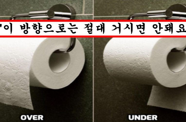 사람들이 의외로 많이 틀린다는 휴지 회사에서 직접 정확하게 말해준 휴지 거는 방향