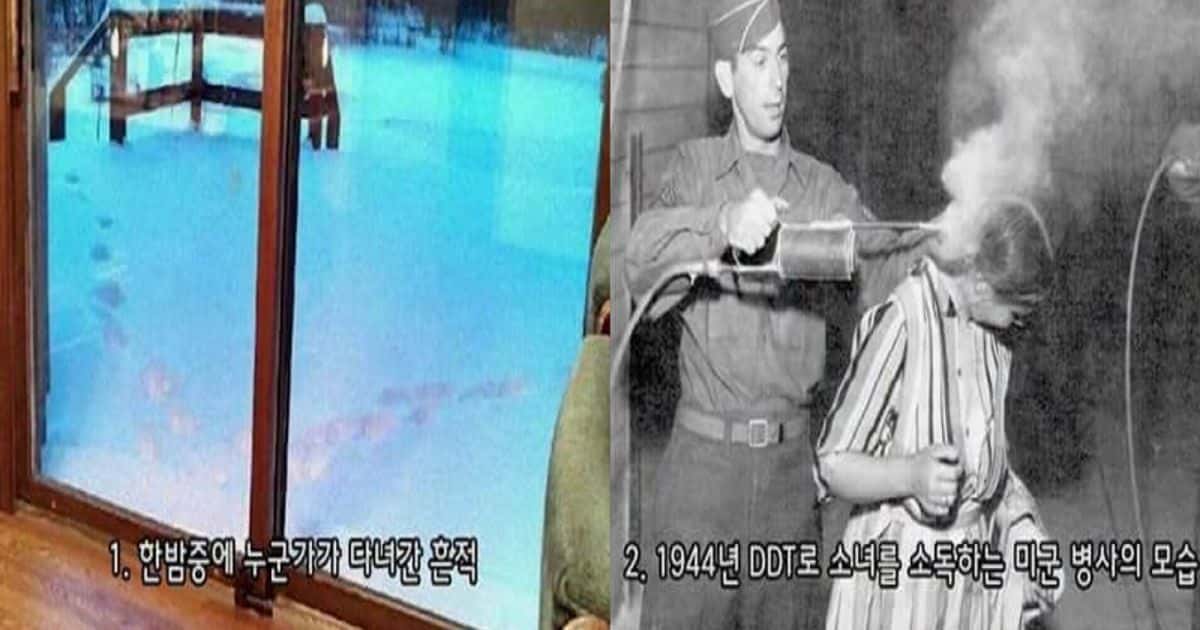 알고보면 정말 소름끼치는 사진들