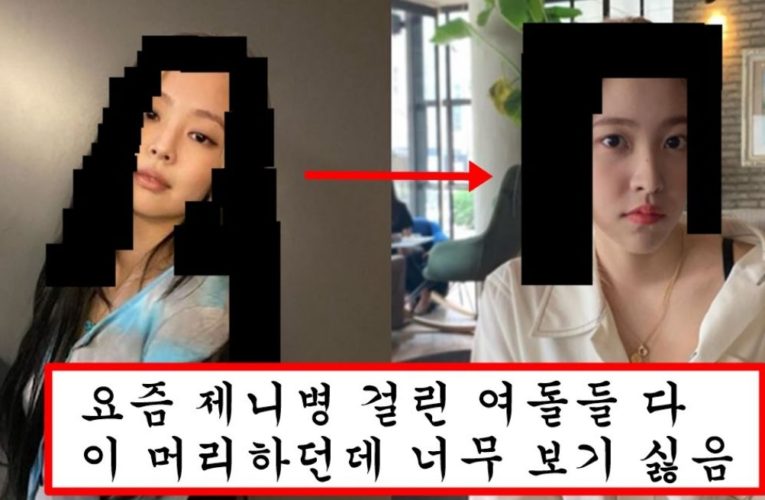 팬들은 보기 싫다는데 제니병 걸린 아이돌들이 따라한다는 꼴보기 싫은 머리 top1