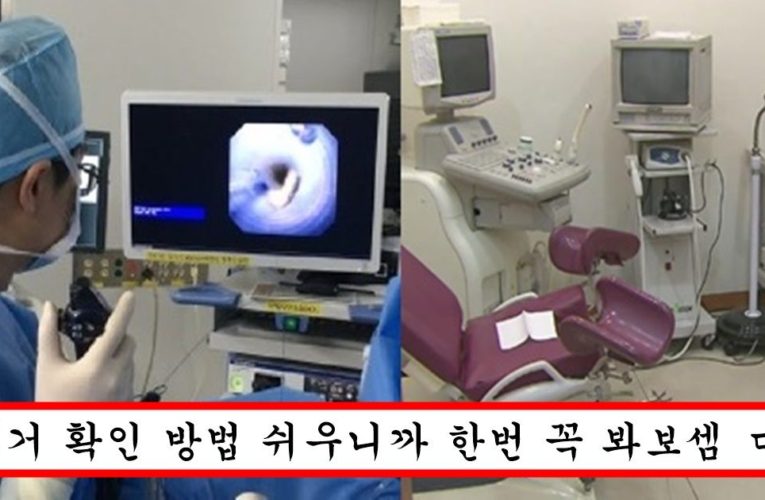 “요즘 낙태한 여자 비율 50% 이상입니다” 내 여친이 낙태했는지 확인해보는 간단한 방법
