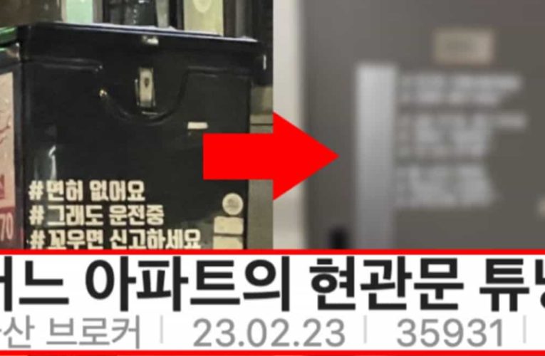 딸배가 결혼해서 애 낳으면 꼭 한다는 인테리어