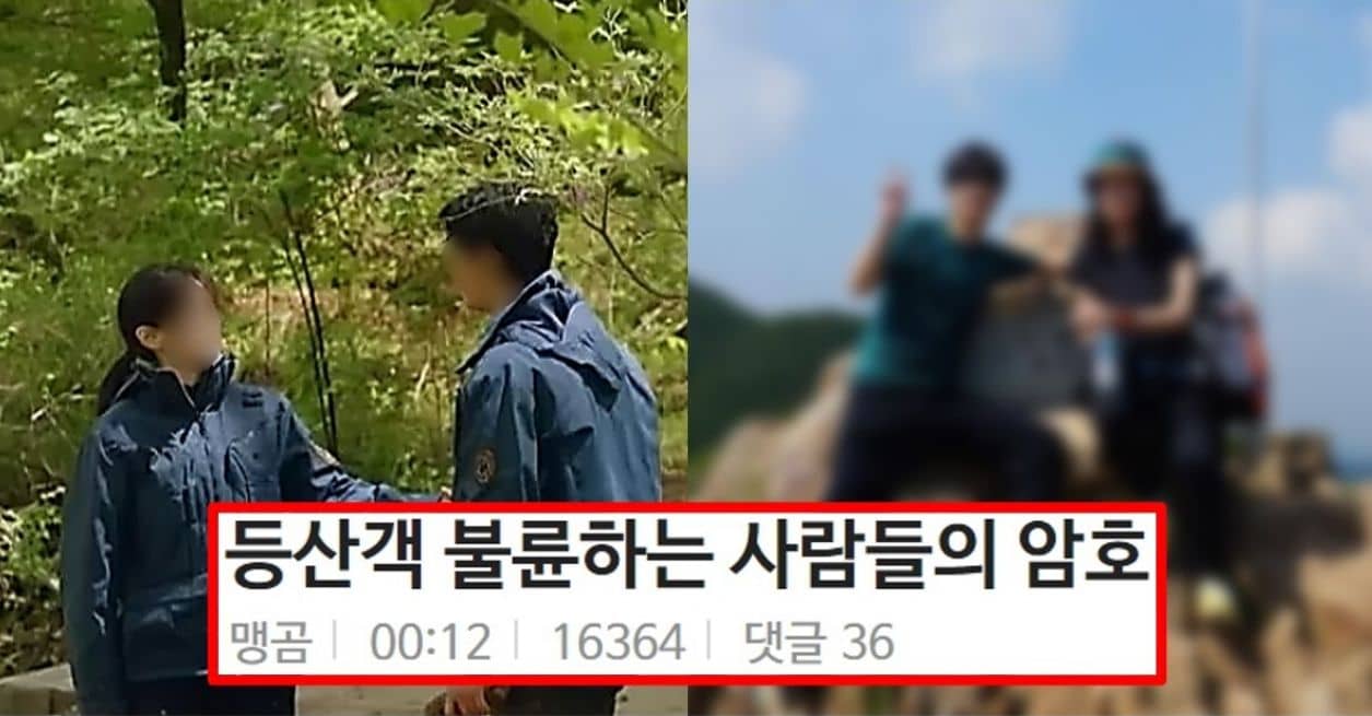등산객 불륜하는 사람들의 암호