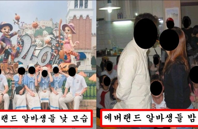 “알바하는 동안 이성과 한 번도 안해본 사람은 없을걸요?” 야스랜드 그 자체라는 에버랜드 알바 실체