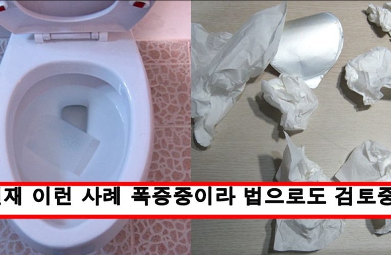 자기 위로나 하룻밤 보내고 닦은 휴지를 절대 변기에 버리면 안되는 이유