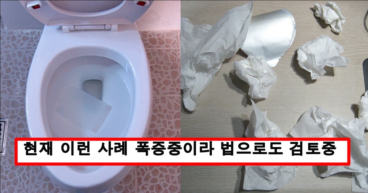 자기 위로나 하룻밤 보내고 닦은 휴지를 절대 변기에 버리면 안되는 이유