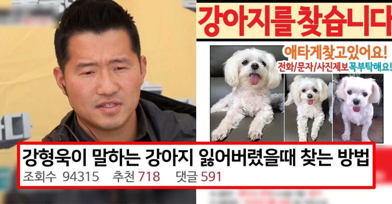 강형욱이 알려주는 잃어버린 강아지 찾는 방법