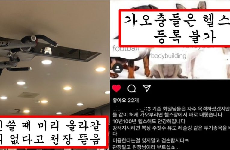 헬스 트레이너들 욕 많은 요즘 착한 헬스장 찾아서 피티 받으러 가면 생기는 일들