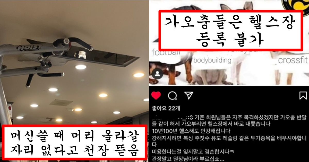 헬스 트레이너들 욕 많은 요즘 착한 헬스장 찾아서 피티 받으러 가면 생기는 일들