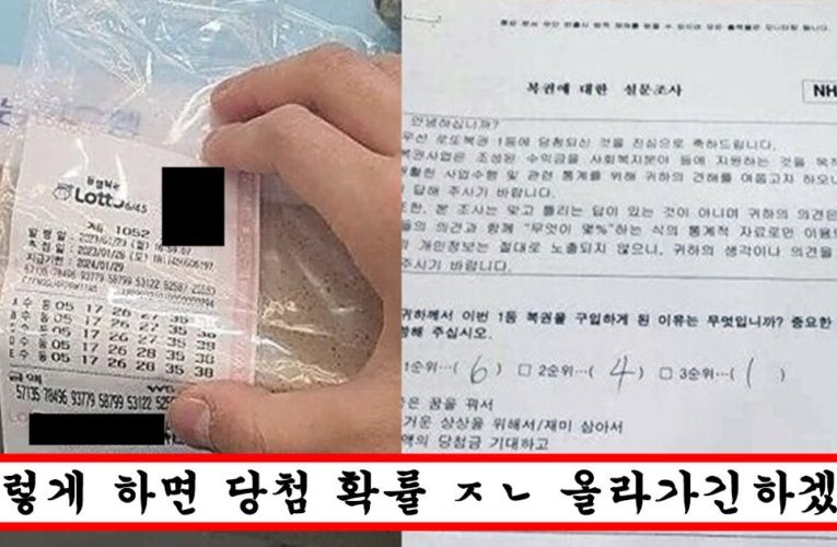 “수동 로또 3개 1등 당첨” 이번 로또 1등 당첨자가 알려준 로또 번호 분석 꿀팁