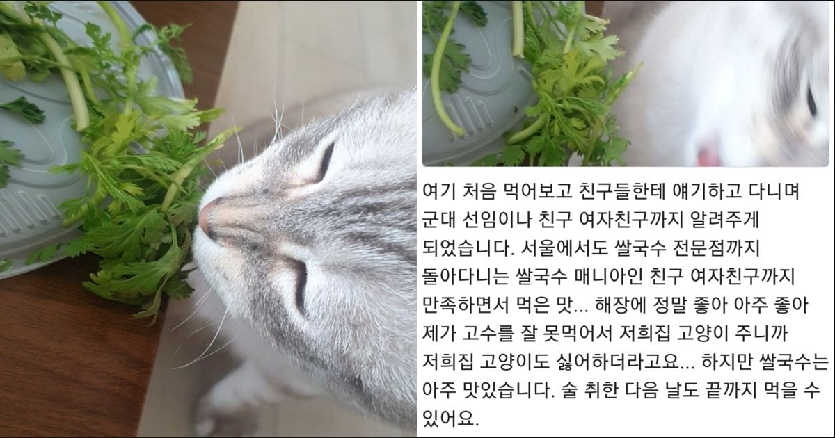 쌀국수집 커여운 배민 리뷰…
