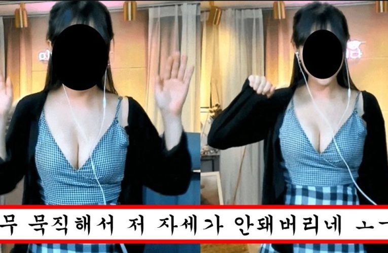 학생 때 미드 큰 게 스트레스였다는 bj가 현재 아프리카에서 하고 있는 방송 수준 ㅗㅜㅑ