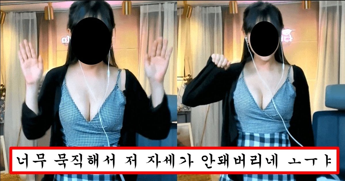 학생 때 미드 큰 게 스트레스였다는 bj가 현재 아프리카에서 하고 있는 방송 수준 ㅗㅜㅑ
