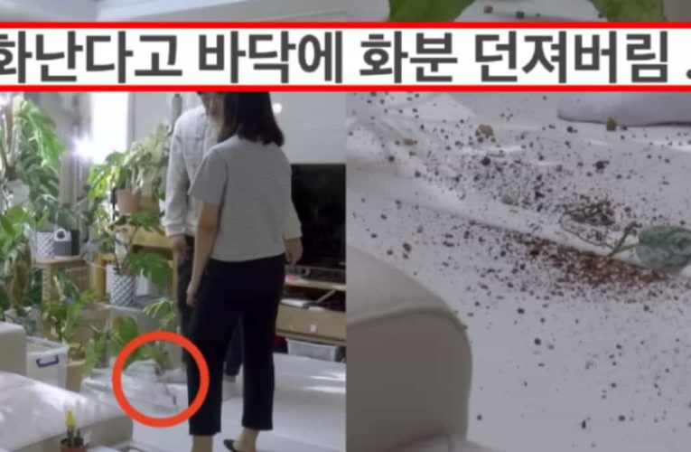 유튜브에서 이미 난리난 식물에 미친 남편