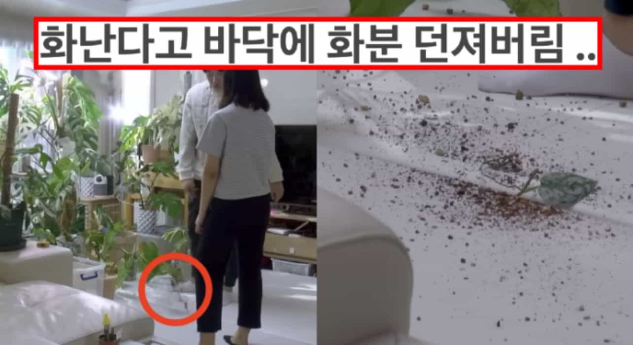 유튜브에서 이미 난리난 식물에 미친 남편