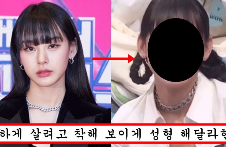 광고 갑질 논란 이후에 반성한다더니 얼굴 다 갈아엎고 존예 돼서 나타난 댄서 노제