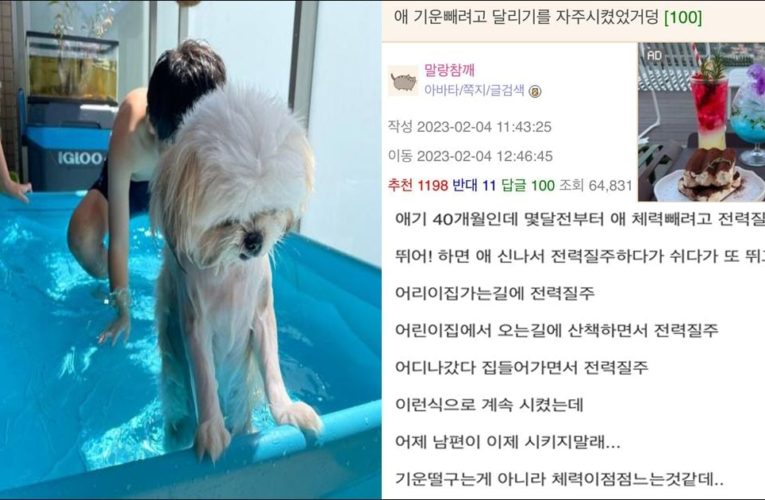 남편이 애기 달리기 시키지말래