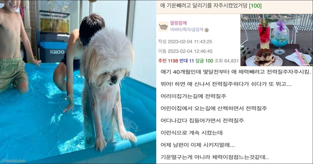 남편이 애기 달리기 시키지말래