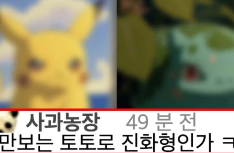 포켓몬에 지브리 감성 한스푼 들어가면 벌어지는 일